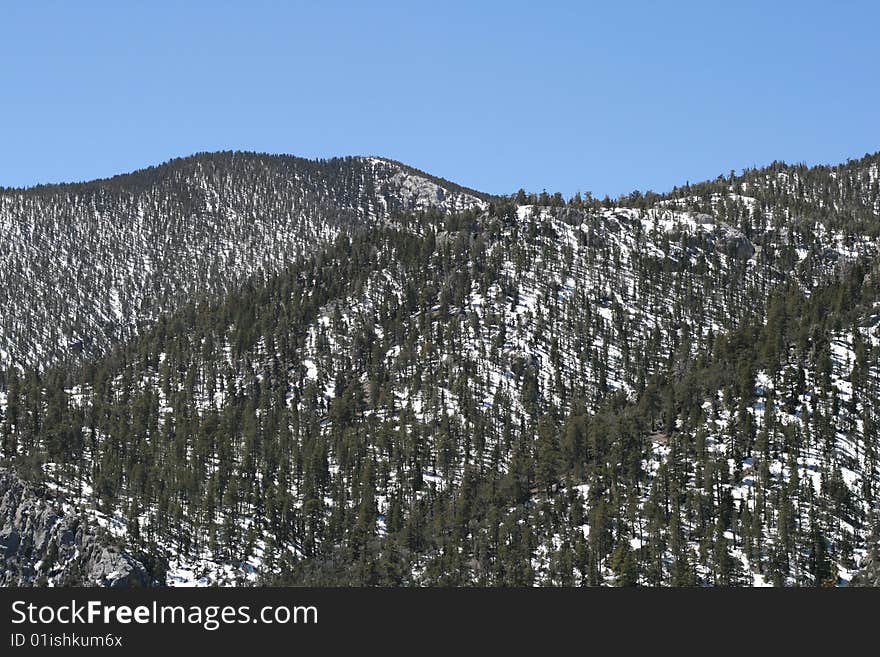 Spring Mountains, Nevada