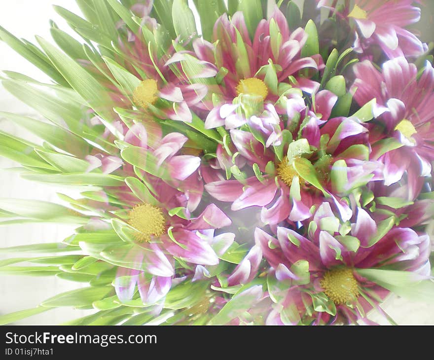 Flowers and grass