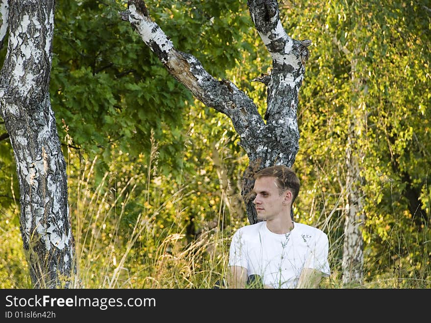 Fellow at a birch