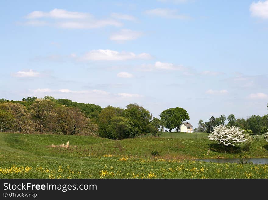 Flowers and trees blooming in spring. Flowers and trees blooming in spring