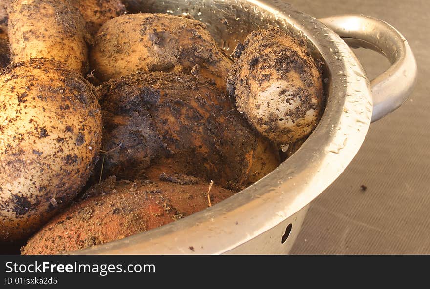 Close up of silverbowl with freshly harvested organic potatoes still with soil on them. Close up of silverbowl with freshly harvested organic potatoes still with soil on them