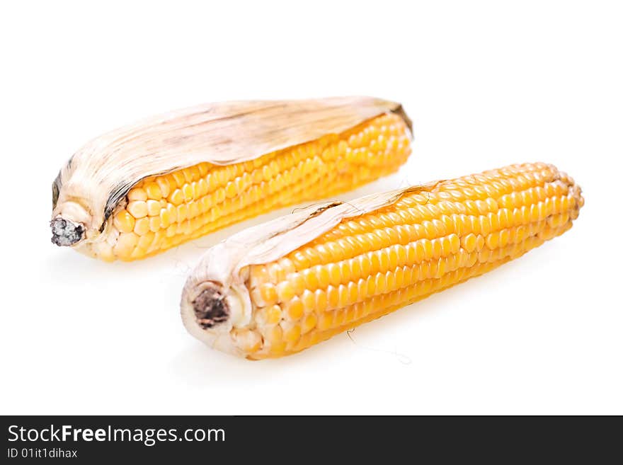 Corn isolated on white background.