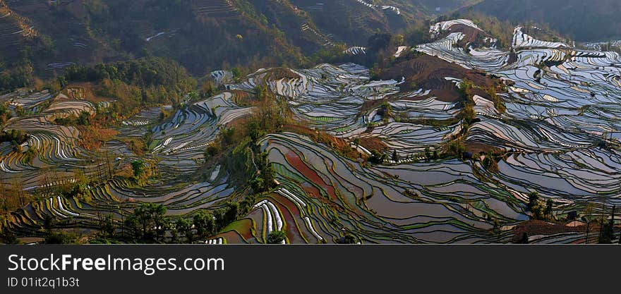 Yuanyang County, Yunnan Province China Ailaoshan the southern section of the Hani Hani Terrace is the local people for thousands of years by the sweat of the mountain opened up dozens of hectares of irrigation terraces, known as the wonders of the world, this map is one of the largest and most spectacular momentum The terraced fields. Yuanyang County, Yunnan Province China Ailaoshan the southern section of the Hani Hani Terrace is the local people for thousands of years by the sweat of the mountain opened up dozens of hectares of irrigation terraces, known as the wonders of the world, this map is one of the largest and most spectacular momentum The terraced fields.