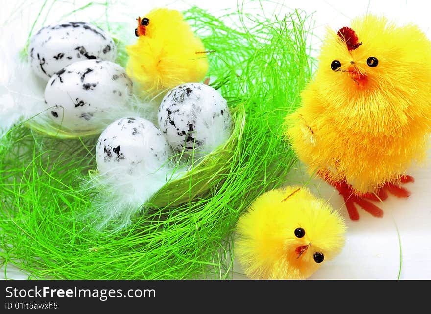 Easter chickens family on white background