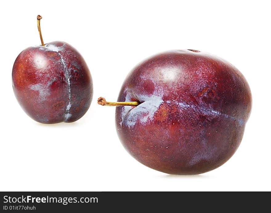 Plum isolated