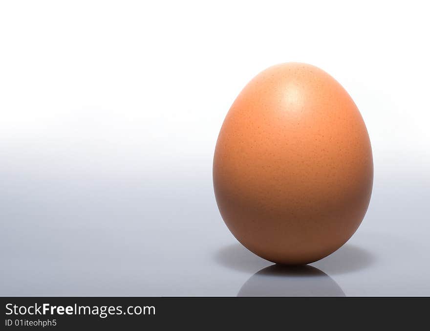 Single egg isolated on right with copy space. Single egg isolated on right with copy space