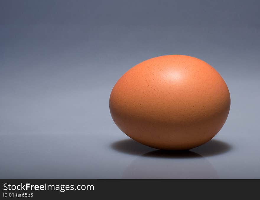 Single brown egg isolated on right leaving copy space. Single brown egg isolated on right leaving copy space