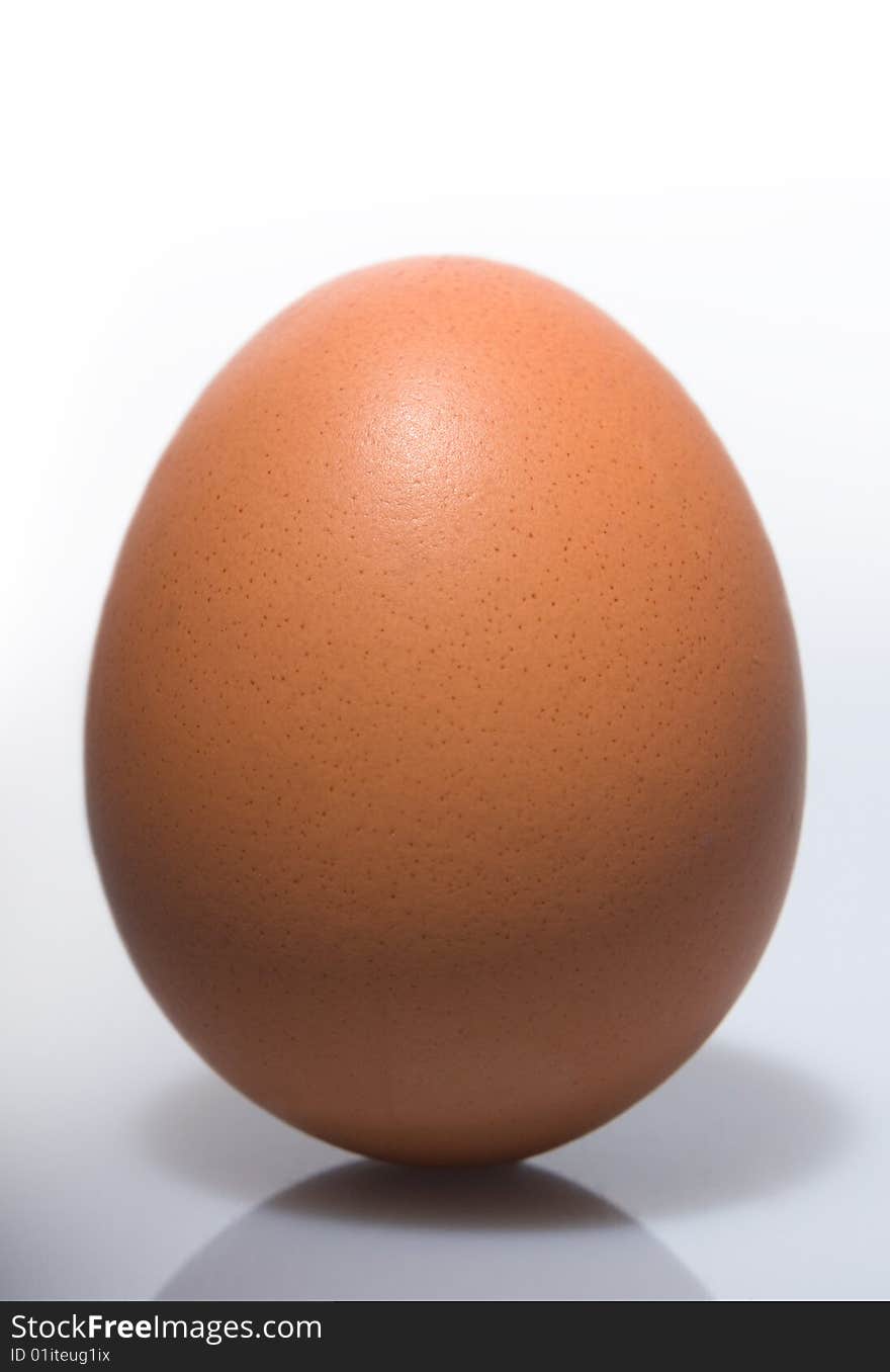 Brown egg on end against white