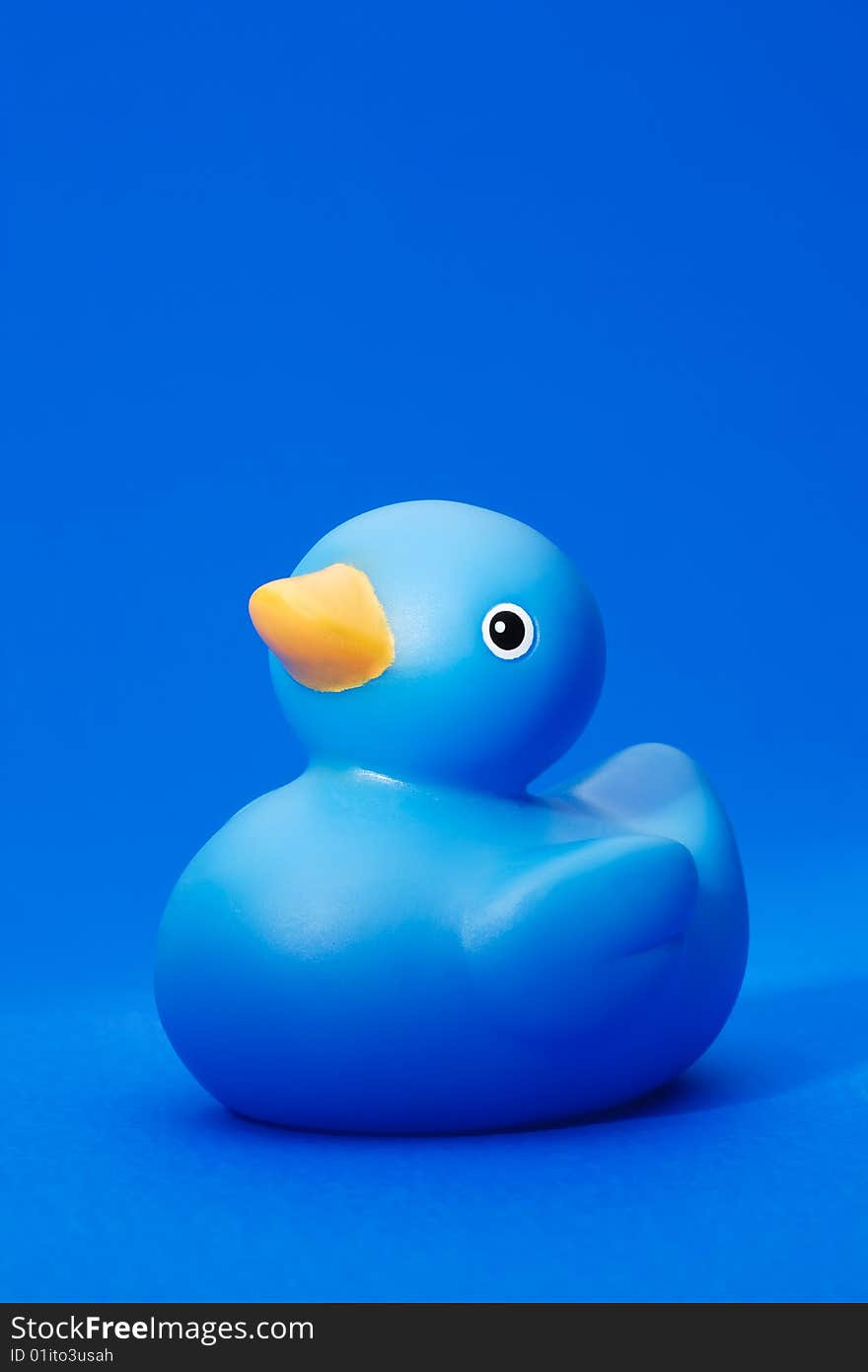 Blue Rubber Duck on blue background