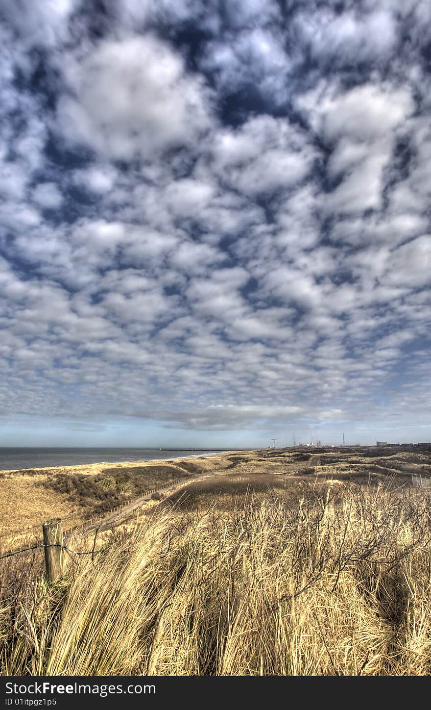 Dutch Dunes