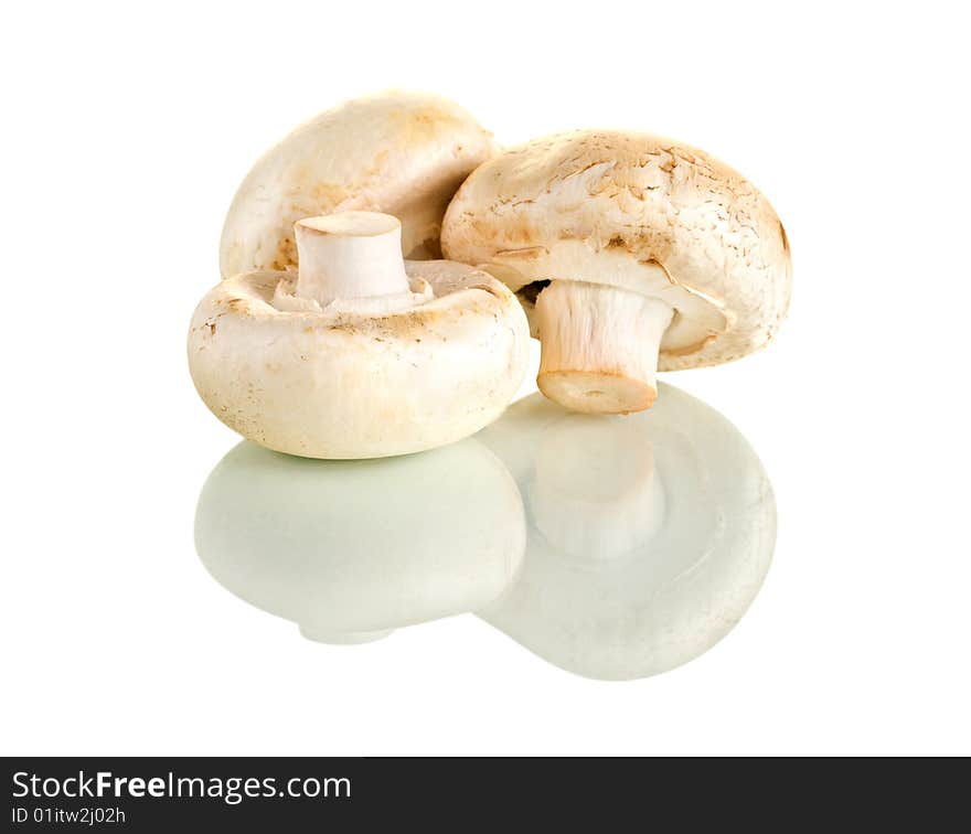 Fresh mushrooms with reflection on white