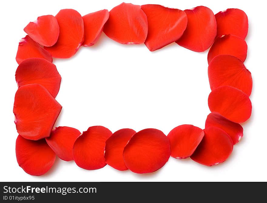 Red rose petals frame