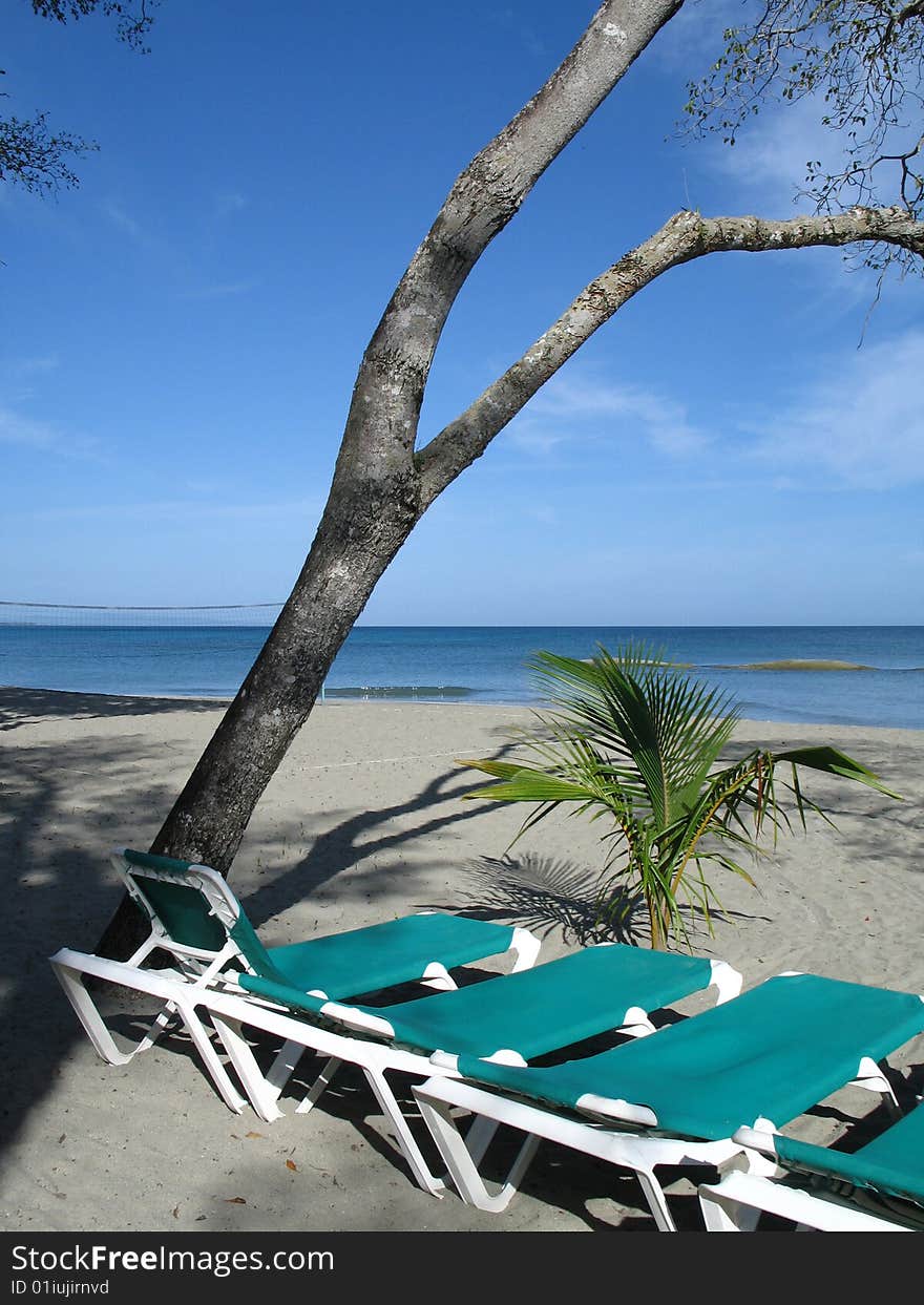 Chairs on the beach