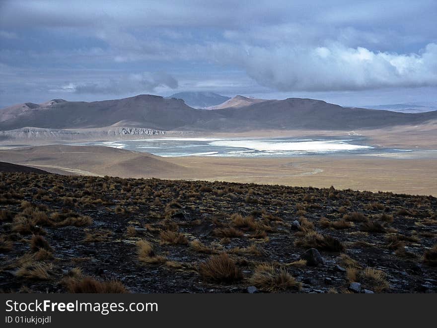 Lagoon on Altiplano in Bolivia,Bolivia