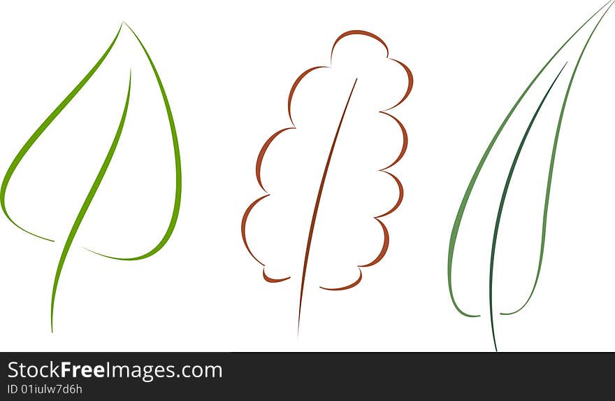 Set of vector leaves on white background. Set of vector leaves on white background