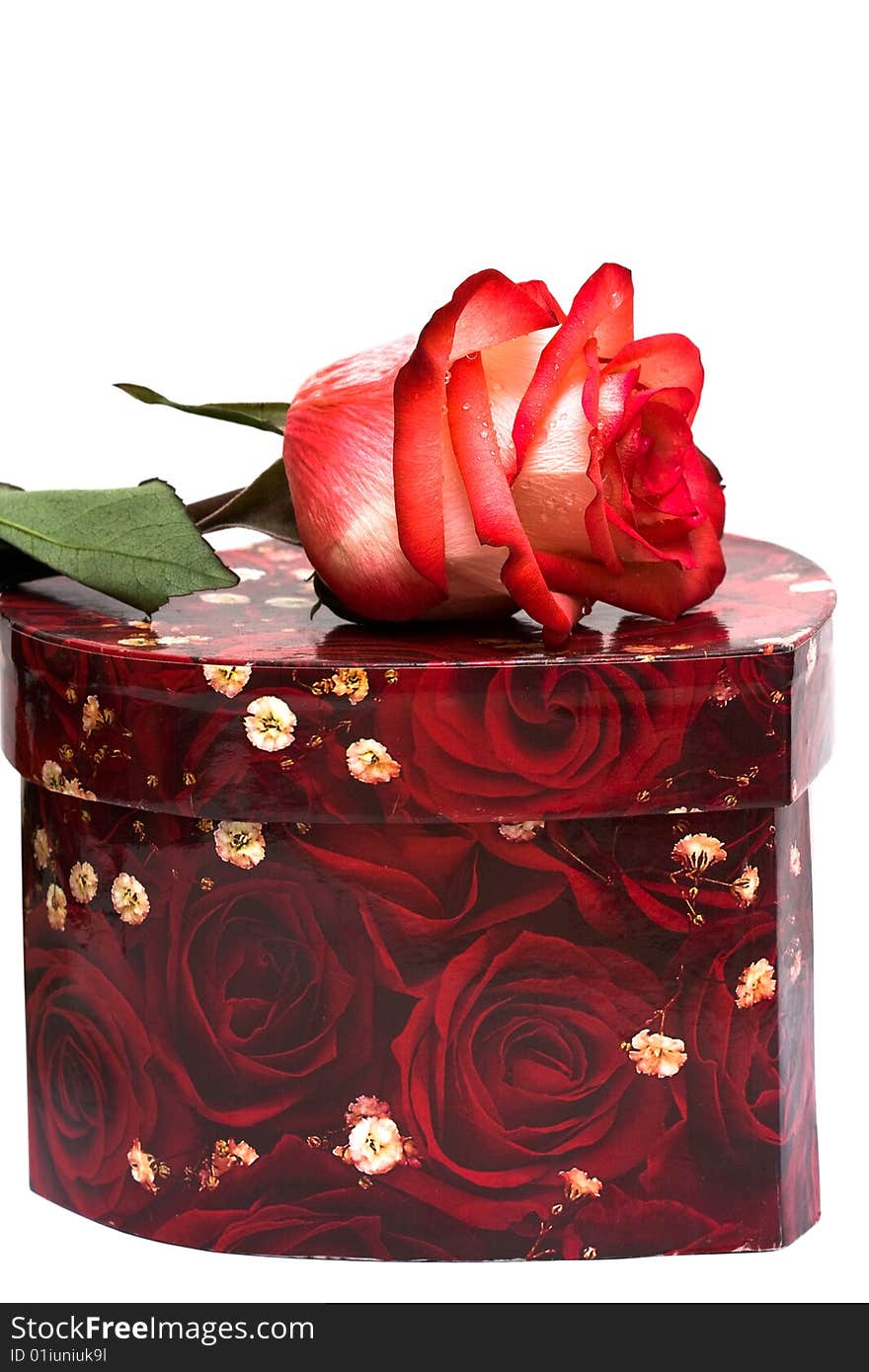 Red gift box with rose