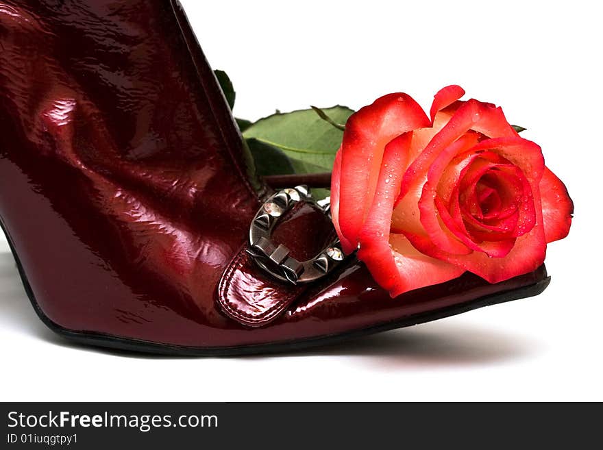 Shoes with rose isolated on white background