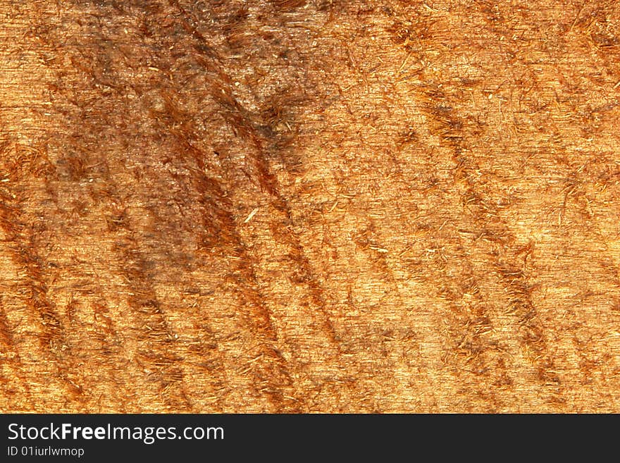 Wood old texture with natural light, photo image