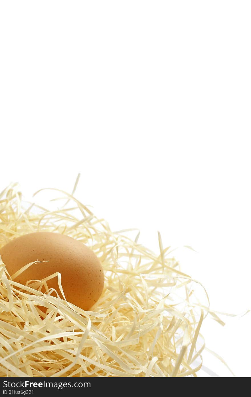 Egg In Nest