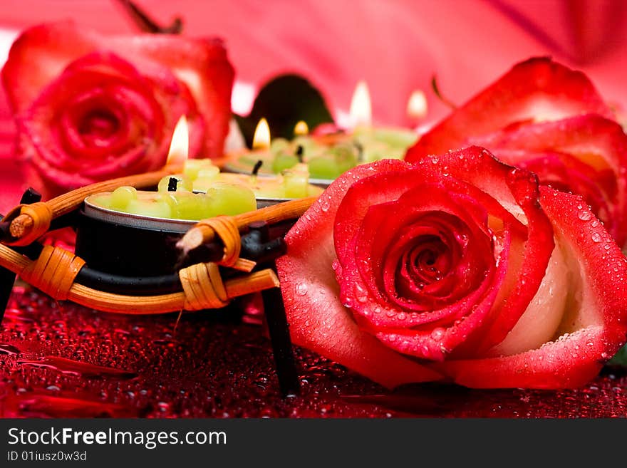 Row of green candles with roses