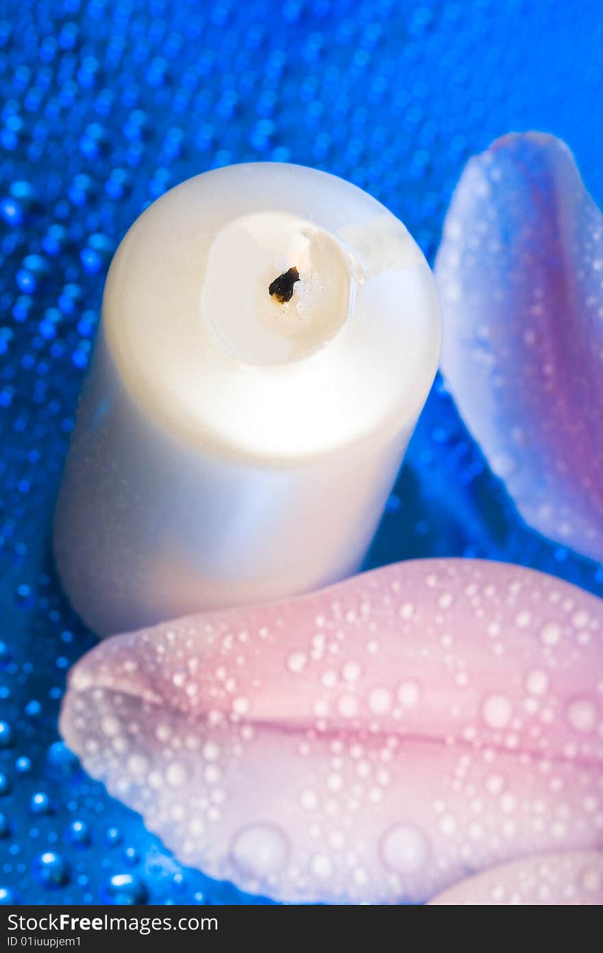 Candle with flower on blue background