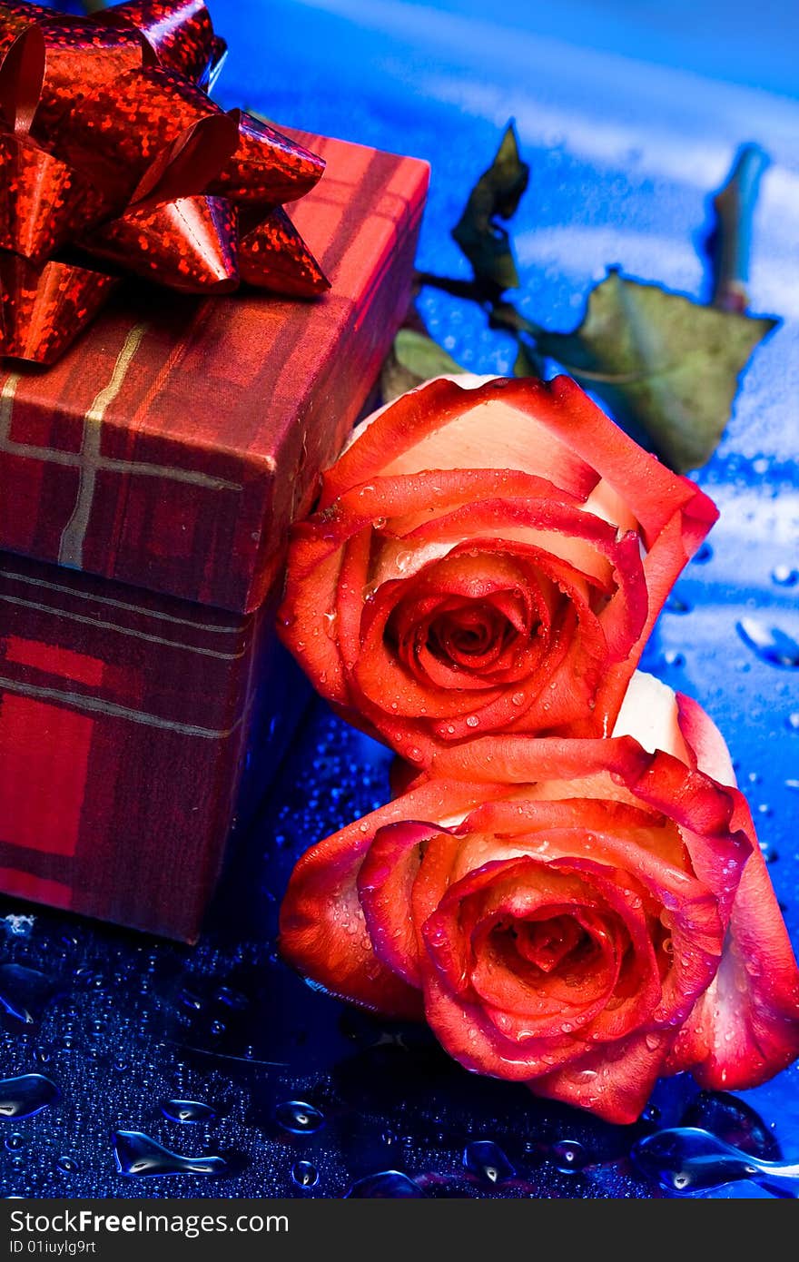 Gift Box And Roses