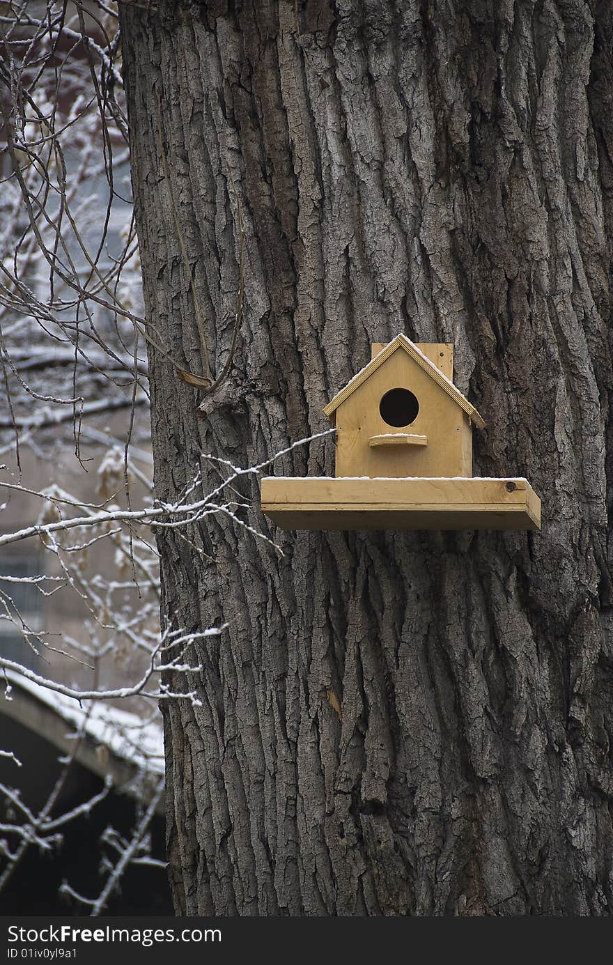 Nestling box on the tree