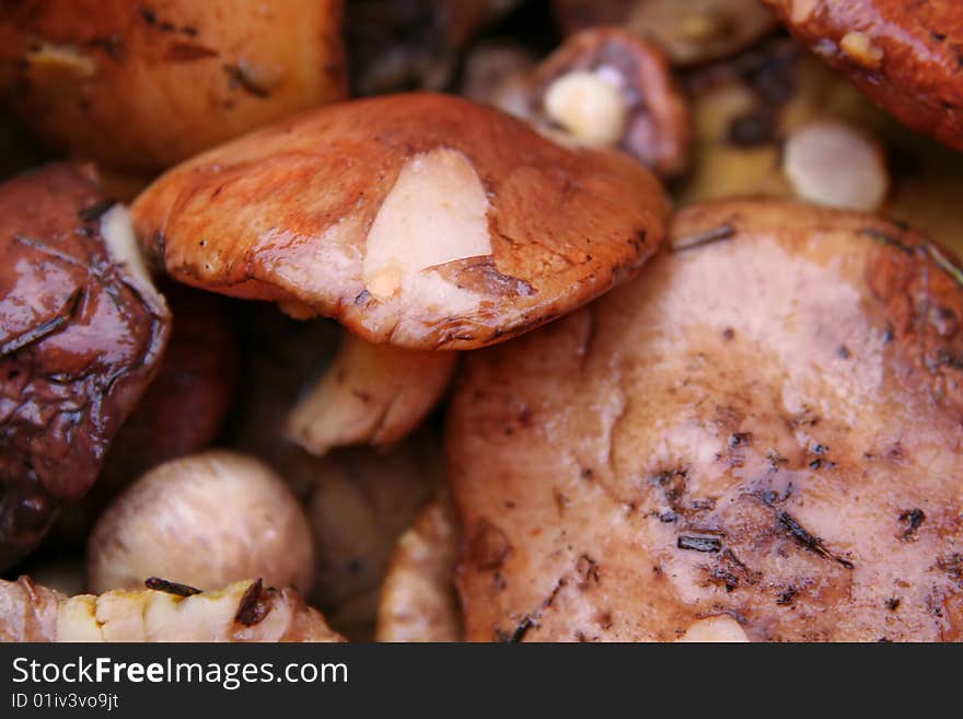 Brown fresh mushrooms on the kitchen. Brown fresh mushrooms on the kitchen