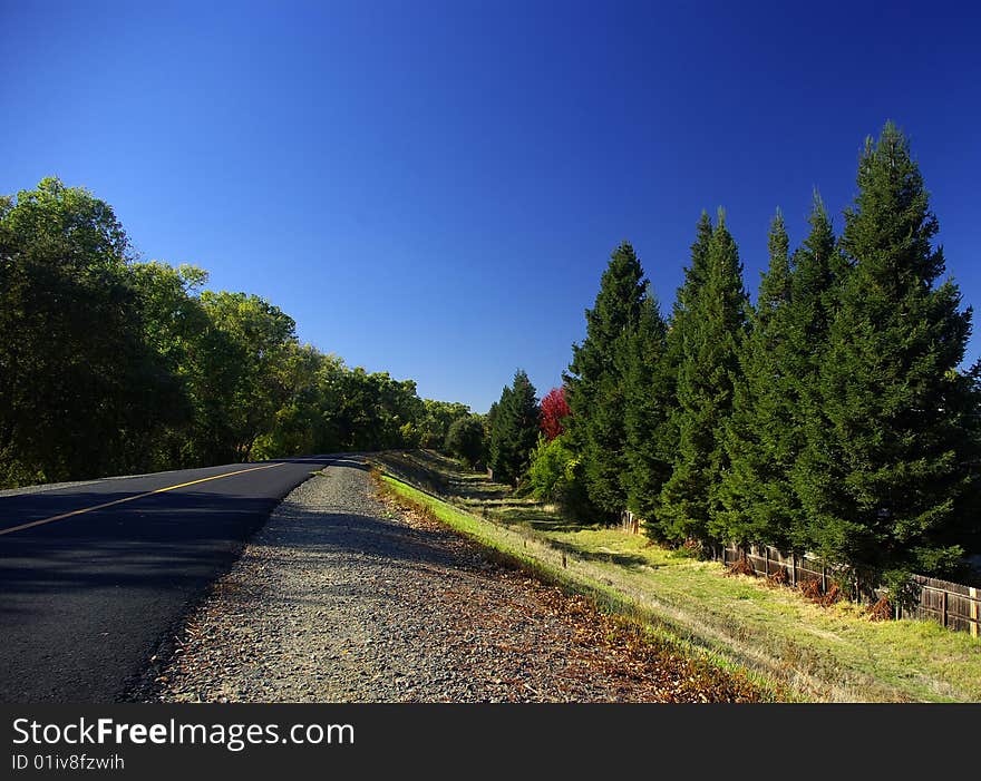 A way which is along Sacramento river is like a endless trip. A way which is along Sacramento river is like a endless trip.