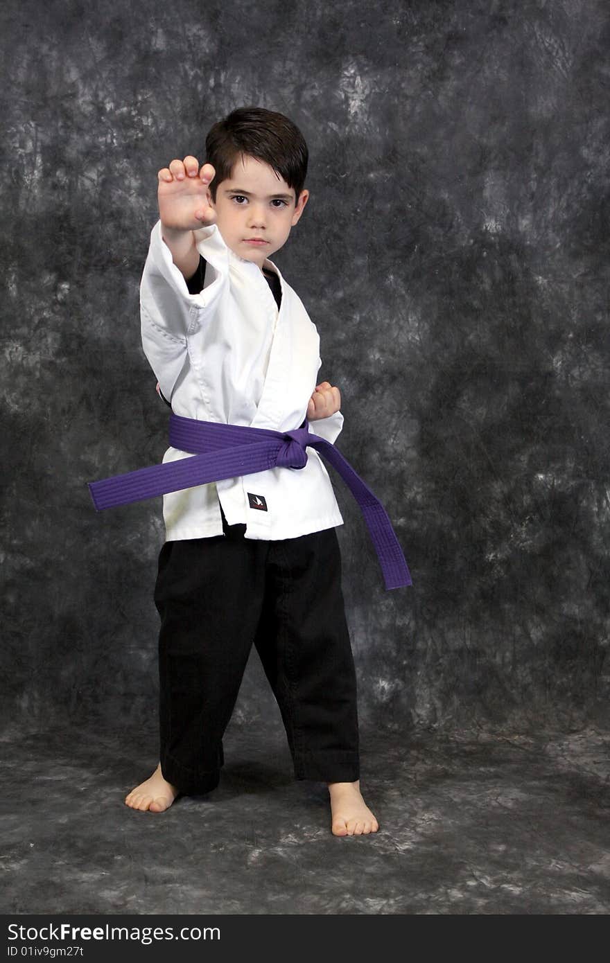 A young boy in fight stance martial arts pose wearing a purple belt. A young boy in fight stance martial arts pose wearing a purple belt