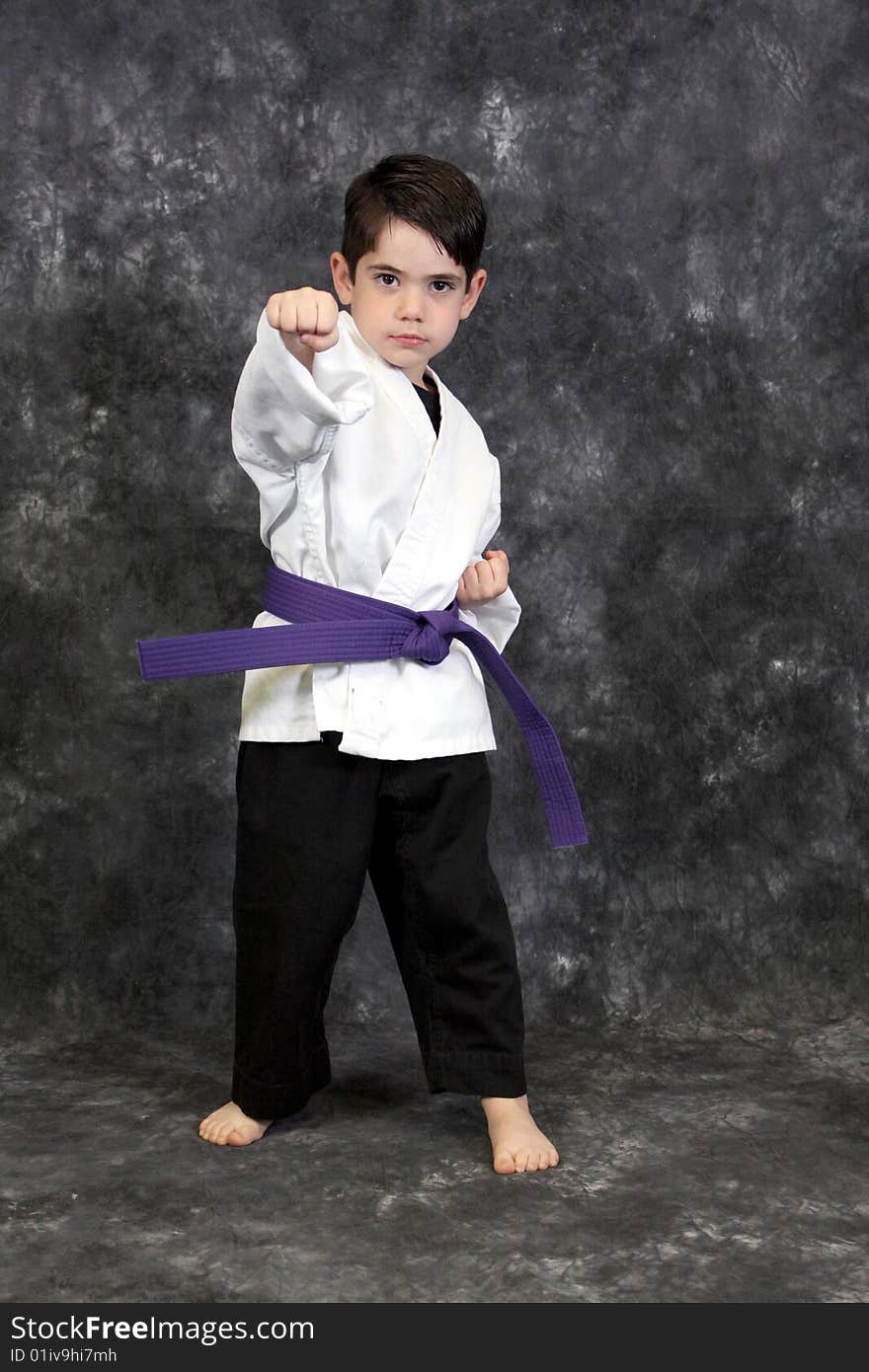 A young boy in fight stance martial arts pose wearing a purple belt. A young boy in fight stance martial arts pose wearing a purple belt