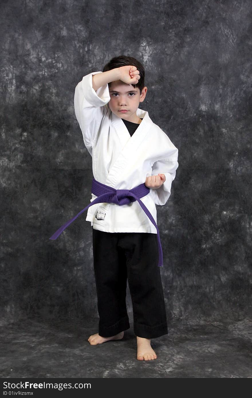 A young boy in fight stance martial arts pose wearing a purple belt. A young boy in fight stance martial arts pose wearing a purple belt