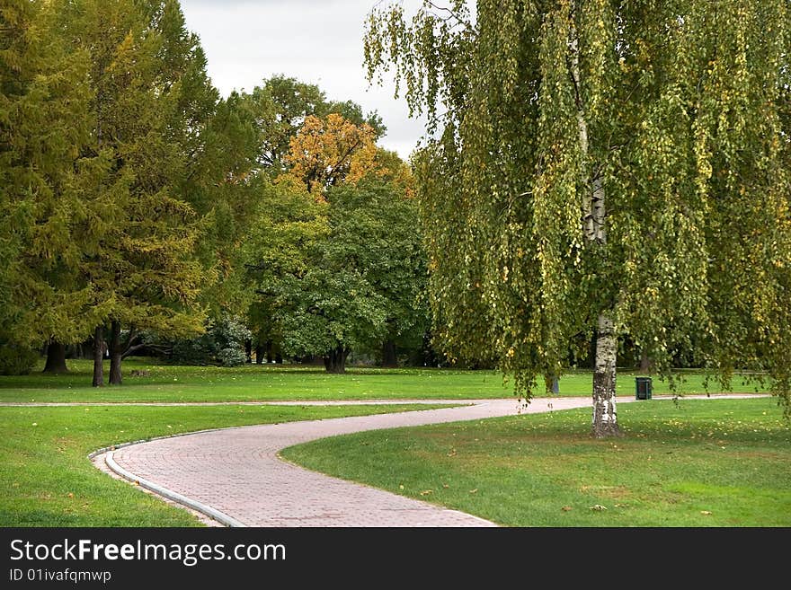 A view of a park path with a birch on a cloudy day. A view of a park path with a birch on a cloudy day