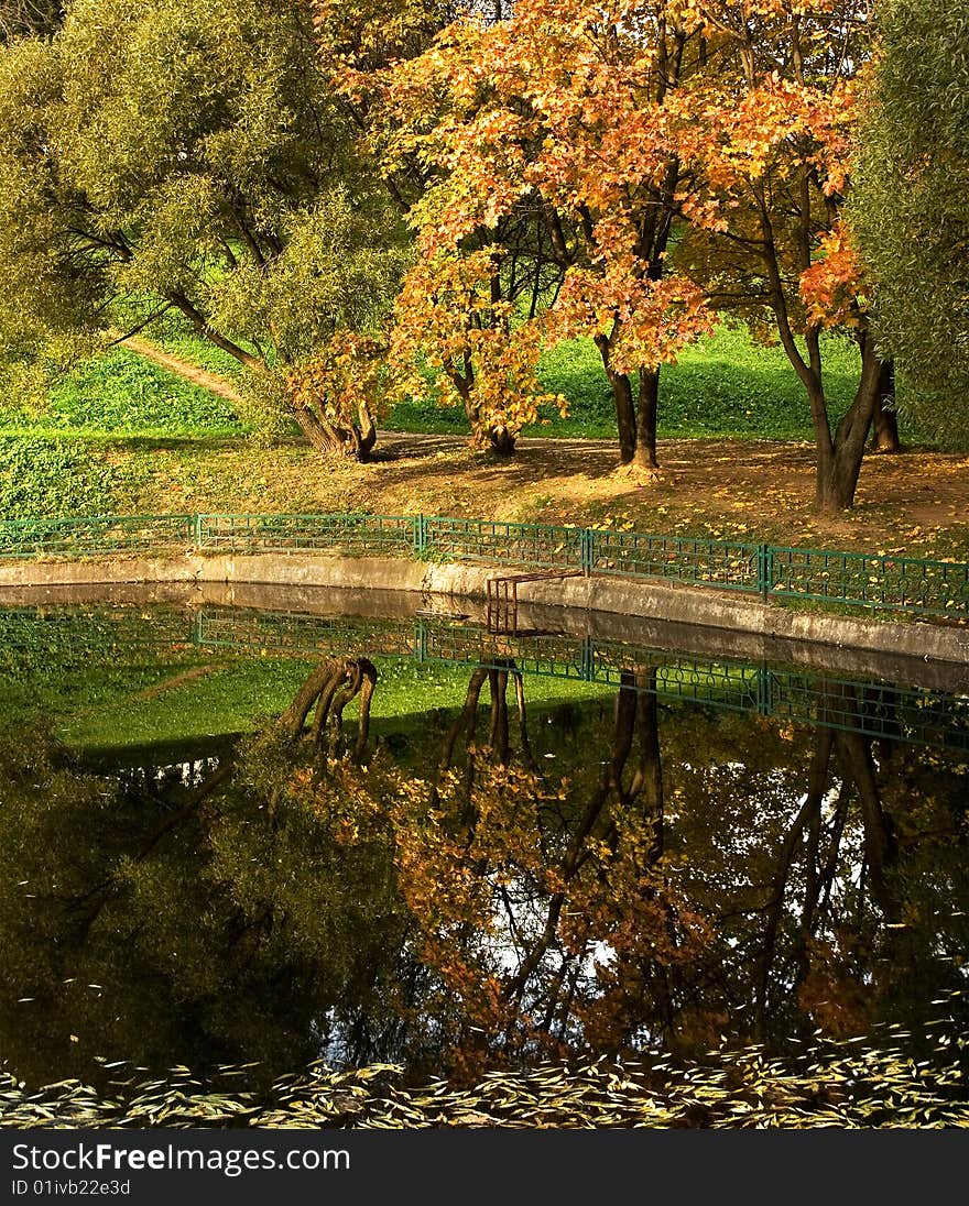 An autumn tree with yellow and red leaves reflecting in water. An autumn tree with yellow and red leaves reflecting in water