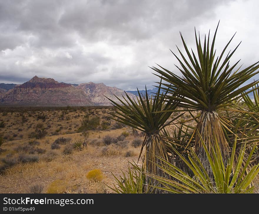 Nevada