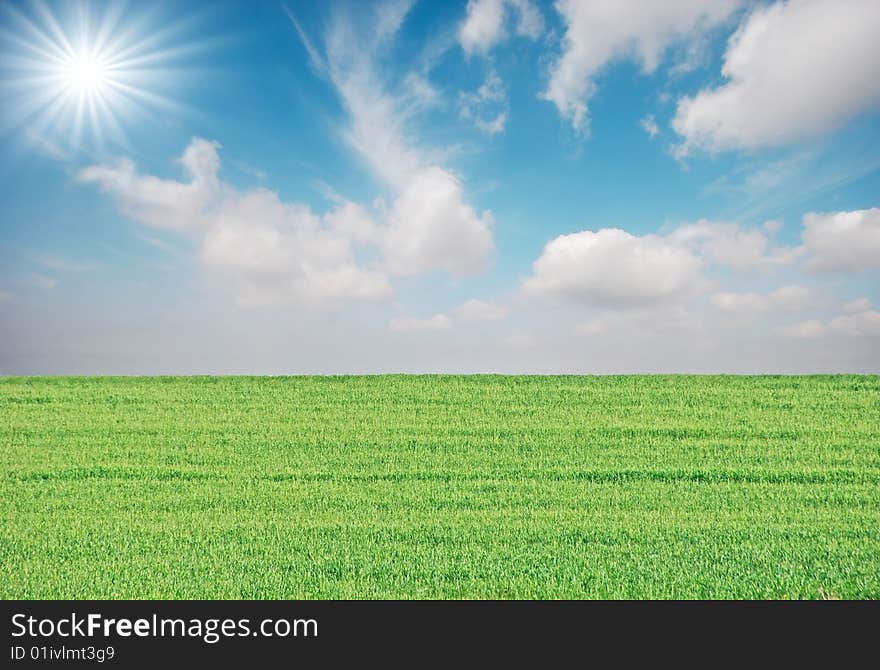 A green wheat field and a big sun shining. A green wheat field and a big sun shining