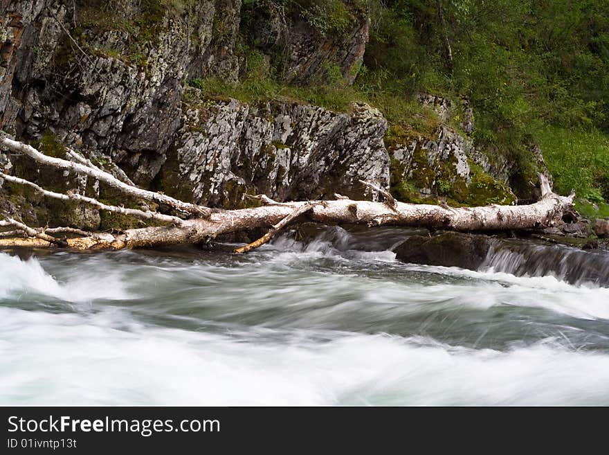 Tree trunk in the stream near rock. Tree trunk in the stream near rock