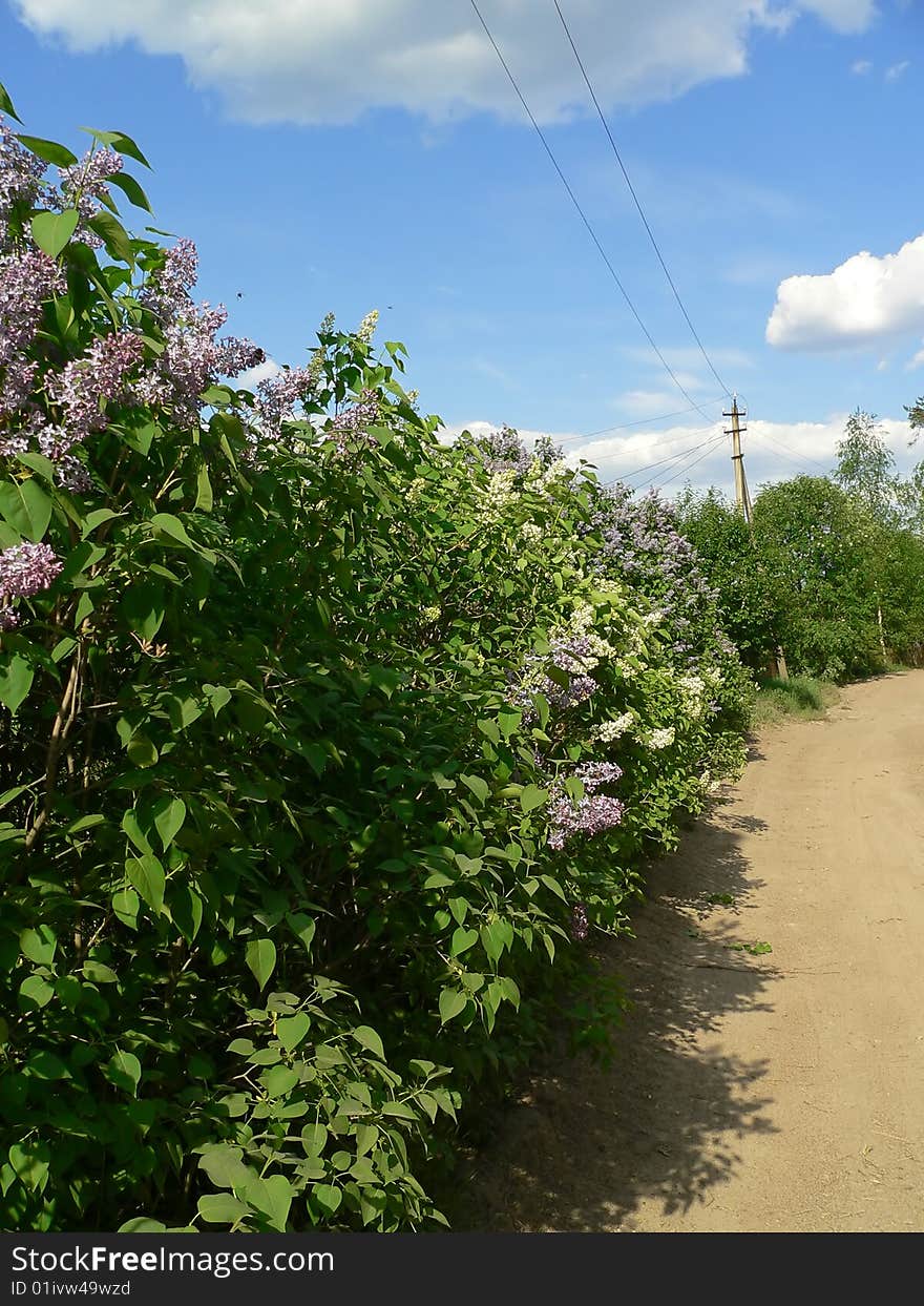 Rural road