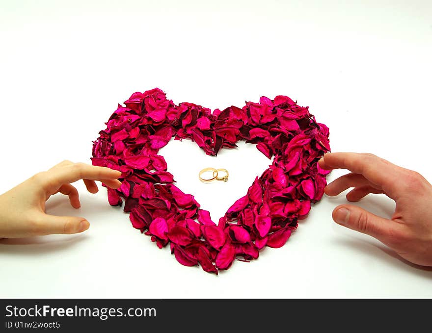 Women Hands on Color Rose Petals