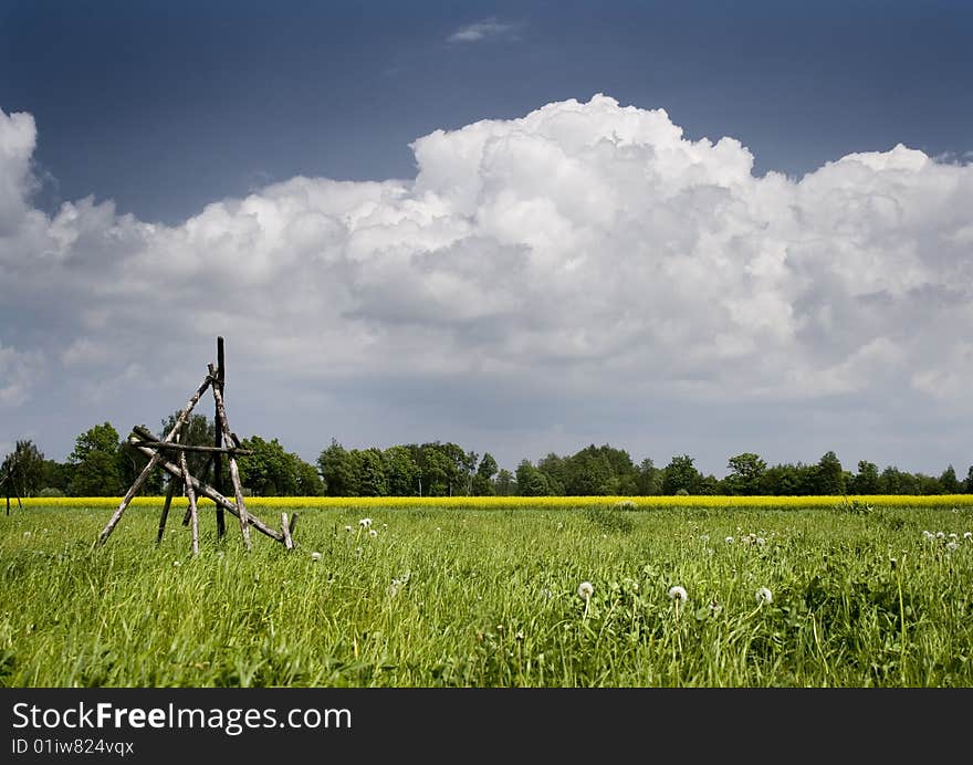 Green grain not ready for harvest growing in a farm field. Green grain not ready for harvest growing in a farm field