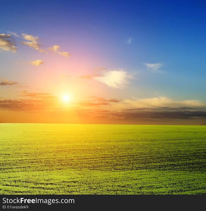 Green field and beautiful sunset