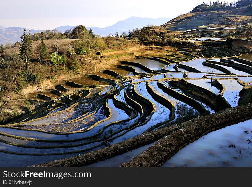 China Yunnan Hani Terrace View