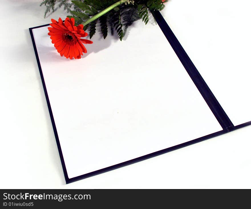 Empty album with red gerber daisy with water droplets on the petals. shallow depth of field. Empty album with red gerber daisy with water droplets on the petals. shallow depth of field