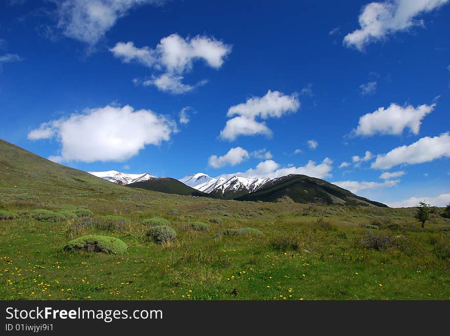 Patagonian meadow and mountains near El Calafate Argentina. Patagonian meadow and mountains near El Calafate Argentina