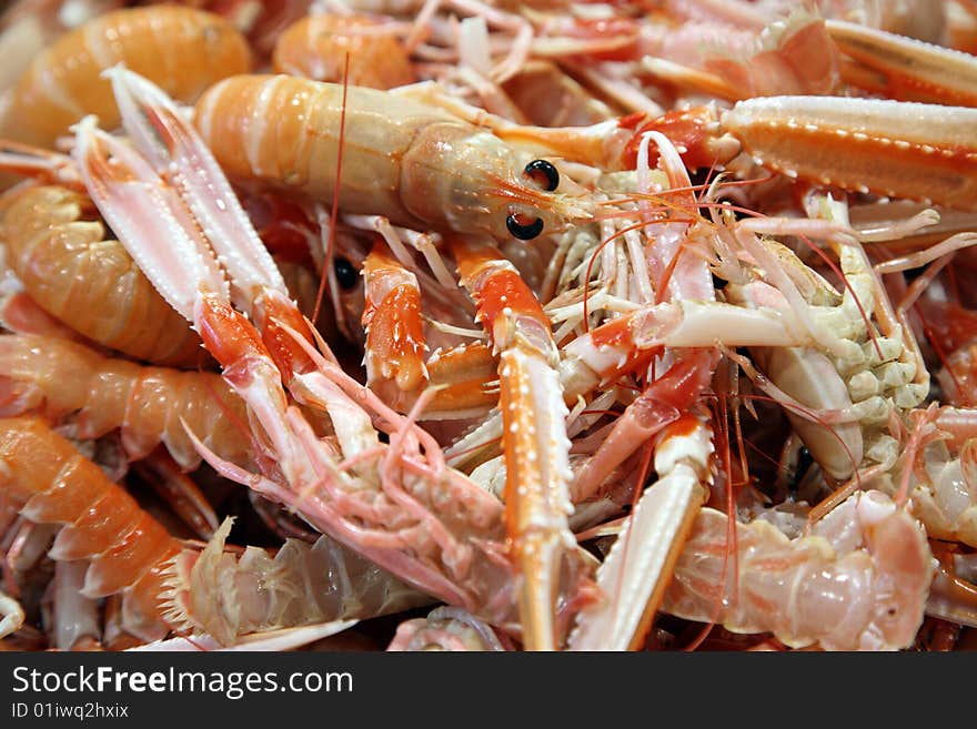 Langoustines for sale at market