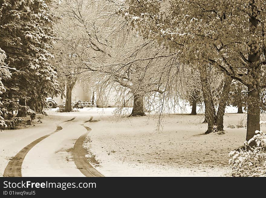 Early snow on the lane. Early snow on the lane.