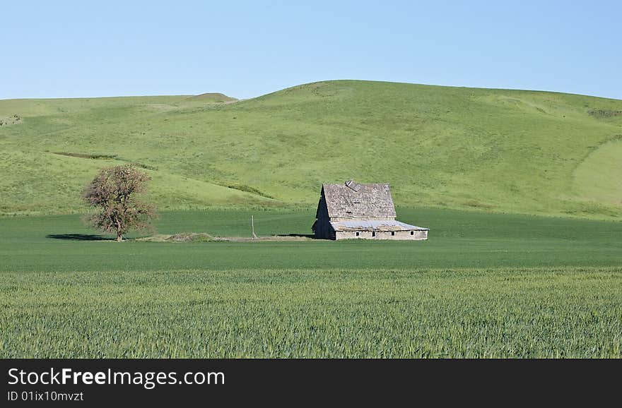 Palouse Barn