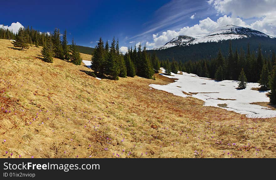 A mountain landscape in early spring. A mountain landscape in early spring.