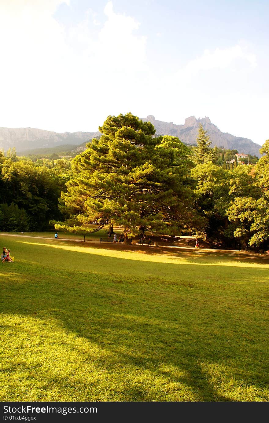 Park Vorontsova in Crimea in the summer. Park Vorontsova in Crimea in the summer