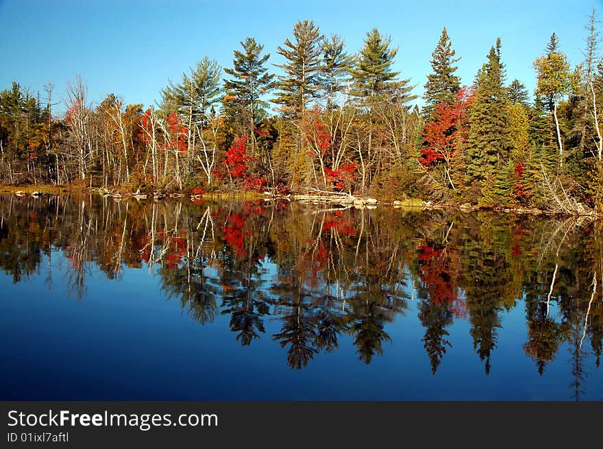 Fall scene at Flack lake, Ontario